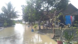 Wilayah Kembangbahu Lamongan jadi Langganan Banjir