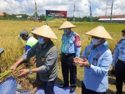 Lapas Pamekasan Panen Raya dan Jual 8.000 Paving Blok Hasil Karya WBP