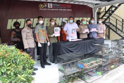 Bawa Ratusan Burung, Pria Tulungagung dan Gresik Dipenjara