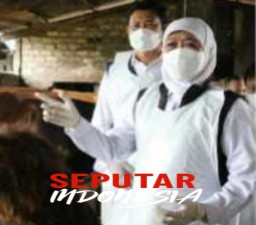 Waspada Penularan Penyakit Mulut dan Kuku, Pasar Hewan Lamongan Tutup Sementara