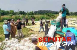 Kakorbinmas Studi Banding Tanam Jagung untuk Petani Papua