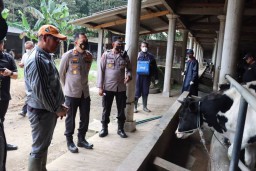 Di Malang, 12.319 Ekor Ternak Sudah Tervaksin