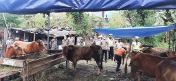 Kanit Lantas Polsek Sawahan Lakukan Pengecekan Hewan Qurban di Gedung Juang