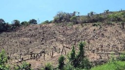Kawasan Konservasi PT New Glenfalloch Rusak, Ini Penyebabnya