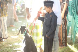 Puluhan Anak Yatim di Santunani Kambing oleh ARMI, Pemdes Tlambah Apresiasi ide Kreatif