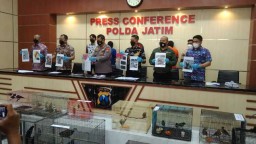 Baca juga : Buaya Muara dan Ratusan Hewan Dilindungi Disita Polda Jatim dari Lima Pemilik