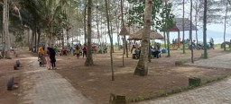 KUB Sekar Arum Gandeng Merdeka Copper Gold Poles Pantai Cemara