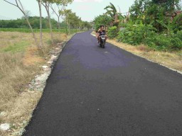 Warga Desa Tumbrasanom Kecamatan Kedungadem Bisa Lewati Jalan Yang Layak