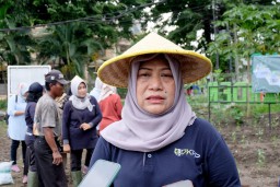 Pemkot Surabaya Tanam 1 Juta Bibit Cabai dan 4 Ribu Bawang Merah