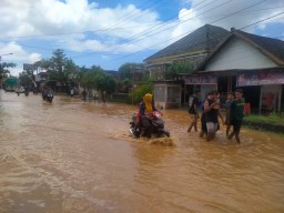 Selain Wilayah Lembah, Sampah Kayu Jadi Penyebab Banjir di Wilayah Kecamatan Pesanggaran