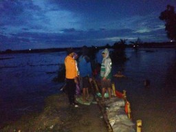 Tanggul Jebol di Kedungprimpen Kanor, BPBD dan Tim Gabungan Gerak Cepat Tangani