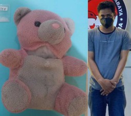 Pria dengan Boneka Beruang Diamankan Polisi