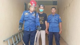 Kerap Evakuasi Ular, Damkar Bojonegoro Tuai Pujian