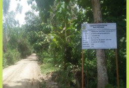 Anggota DPRD Bangun Jalan Usaha Tani, Masyarakat Desa Waetele Apresiasi