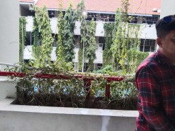 Siswi SMPN 1 Surabaya Diduga Melompat dari Lantai 2 Sekolah