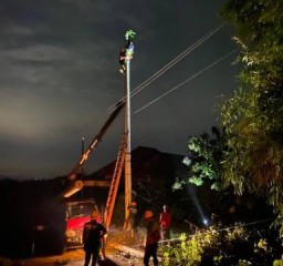 Penanganan Jaringan Listrik di Saluran Udara Tegangan Menengah di Pamekasan
