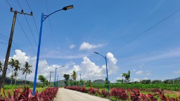 200 LPJU Sudah Terpasang, Jalan Pesanggaran Semakin Cantik 