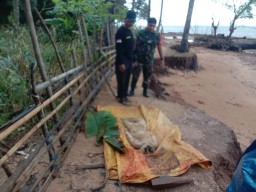 Mayat Tanpa Identitas Gegerkan Pantai Dusun Sumur Elos