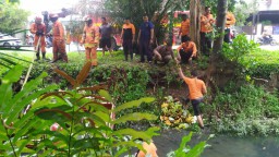 Ngantuk, Tossa Angkut Pisang Kecebur Sungai