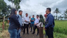 Warga Banyuwangi Diduga Serobot Lahan, Pemilik Sebenarnya Bukan Orang Sembarangan