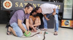Gengster, Hisap Sabu Sebelum Gelar Tawuran