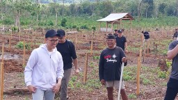 Dikawal Tim Terpadu dan Warga Pesanggaran, Survey Sampel Batuan di Gunung Salakan Tanpa Kendala