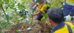 Melintasi Turunan dan Tanjakan Gunung Salakan Bikin Tim Terpadu-PT BSI Keringetan saat Survey Geologi