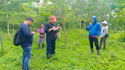 314,98 Ha Lahan di Bondowoso Direboisasi, PT Bumi Suksesindo Buktikan Komitmen Kelola Lingkungan