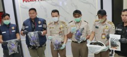 Karena Gagak Hitam, Warga Kupang Dibekuk Polisi