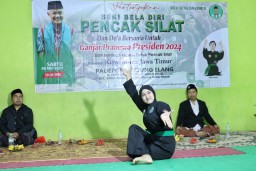 Kiyai Muda Gelar Pertunjukan Seni Bela Diri Pencak Silat