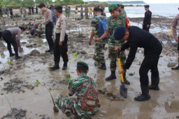 Kodim 0826/Pamekasan Siapkan 500 Pohon Mangrove