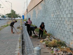 Guyup Rukun, PKL Lesehan Suramadu Bersih Bersih Sampah