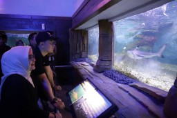 Gelar Trial Opening Surabaya Night Zoo, Wali Kota Eri Cahyadi: Amazing!