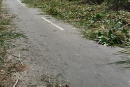 Ternyata Ucok Pasaribu, Inisiator Tebas Bayang Antara Desa Air Mayan Dengan Talang Randai Paiker