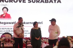 Kepala BRIN Sebut Kebun Raya Mangrove Surabaya Paling Unik dan Terbaik se-Indonesia