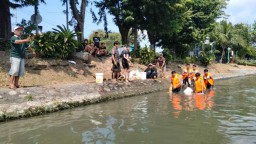 Gelar Operasi Yustisi, Pemkot Surabaya Sasar Pencuci dan Pembuang Jeroan Hewan Kurban di Sungai Kalimas