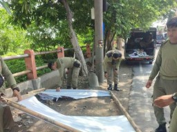 Satpol PP Surabaya bersama Panwascam Masifkan Penertiban APK yang Tak Sesuai Ketentuan