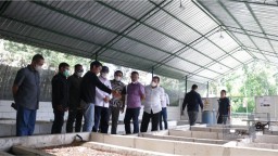 Kisah Pemuda Banyuwangi yang Budidaya Magot Sambil Dibina PT BSI Jadi Cuan