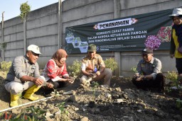 Harga Cabai Meroket di Petani, Pemkot Surabaya Gerakkan Warga Tanam Cabai