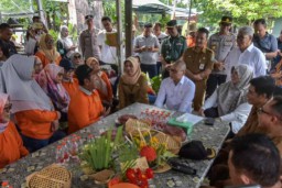 Menko Pangan Zulhas Apresiasi Urban Farming di Surabaya