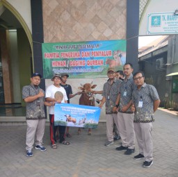 Perumda Surya Sembada Salurkan 14 Sapi Kurban di Idul Adha 1446 H, Untuk Masyarakat