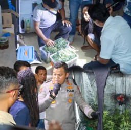 Rumah Kontrakan di Jombang Jadi Pabrik Ganja Rumahan Skala Besar, 100 Batang Tanaman Disita