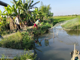 Bhabinkamtibmas Kelurahan Jeruk Dampingi Kelompok Tani, Dukung Optimalisasi Lahan dan Lomba Ketahanan Pangan