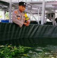 Teknologi Modern, Bhabinkamtibmas Jemur Wonosari Dampingi Kelompok Tani Kembangkan 1.400 Ikan Nila  