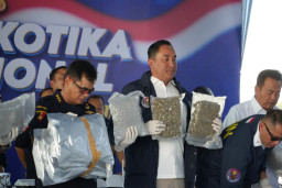 BNN RI Gagalkan Penyelundupan 3,37 Ton Cannabis Buds di Gresik, Modus Impor Kontainer Pertama di Indonesia