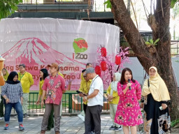 KBS Genap 110 Tahun, Empat Kura-Kura Aldabra dari Jepang resmi Jadi Penghuni Baru