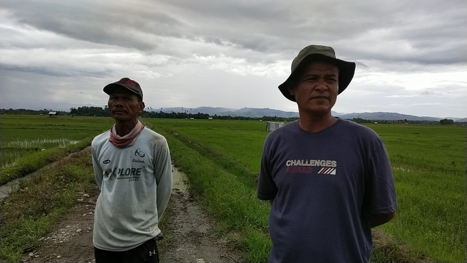 Ketua gabungan kelompok tani (Gapoktan), Desa Parbulu, Budiono
