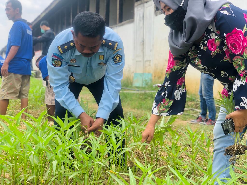 Panen Kangkung, Warga Binaan Pemasyarakatan (WBP)