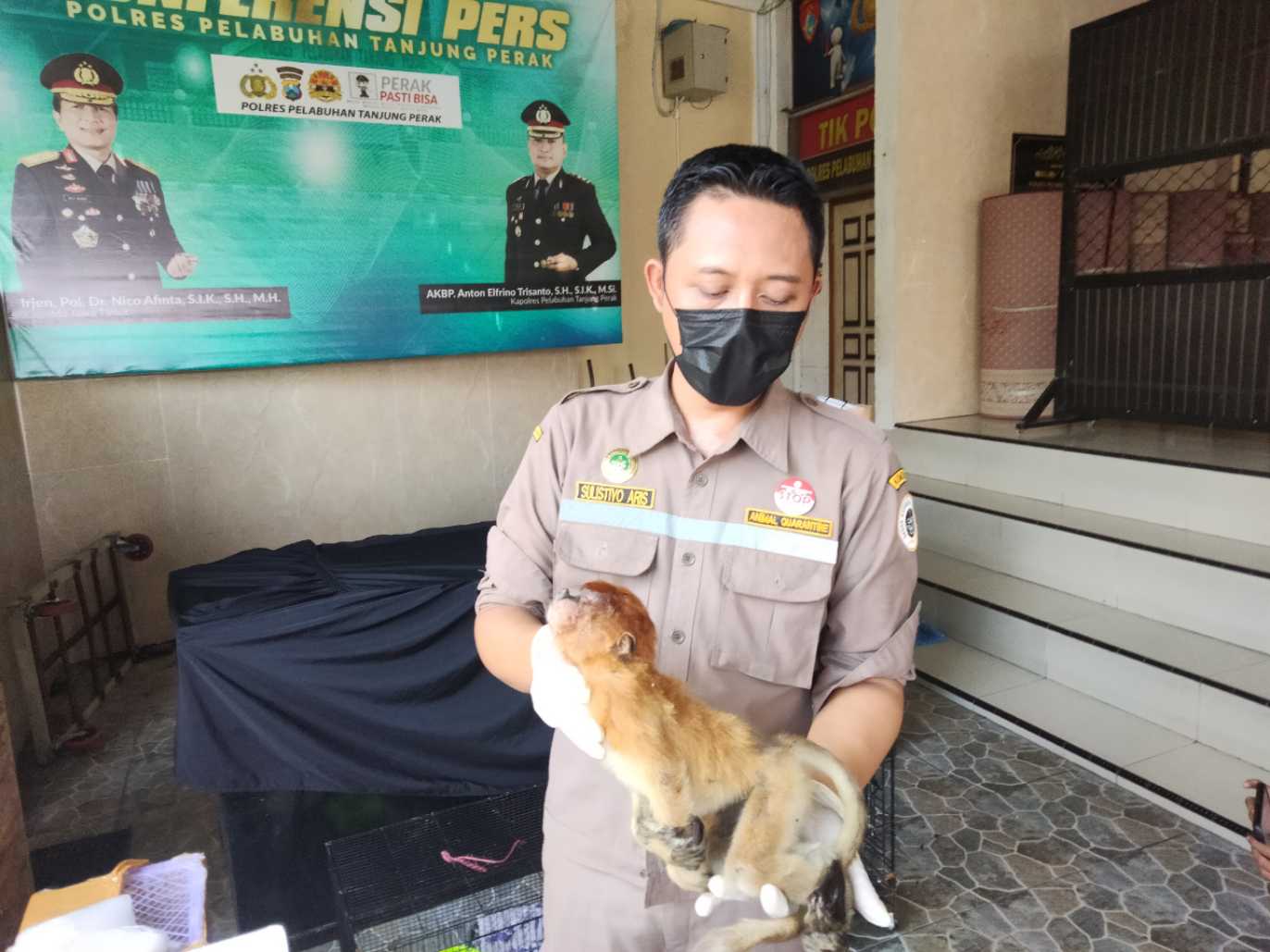 Petugas tunjukkan hewan yang mati