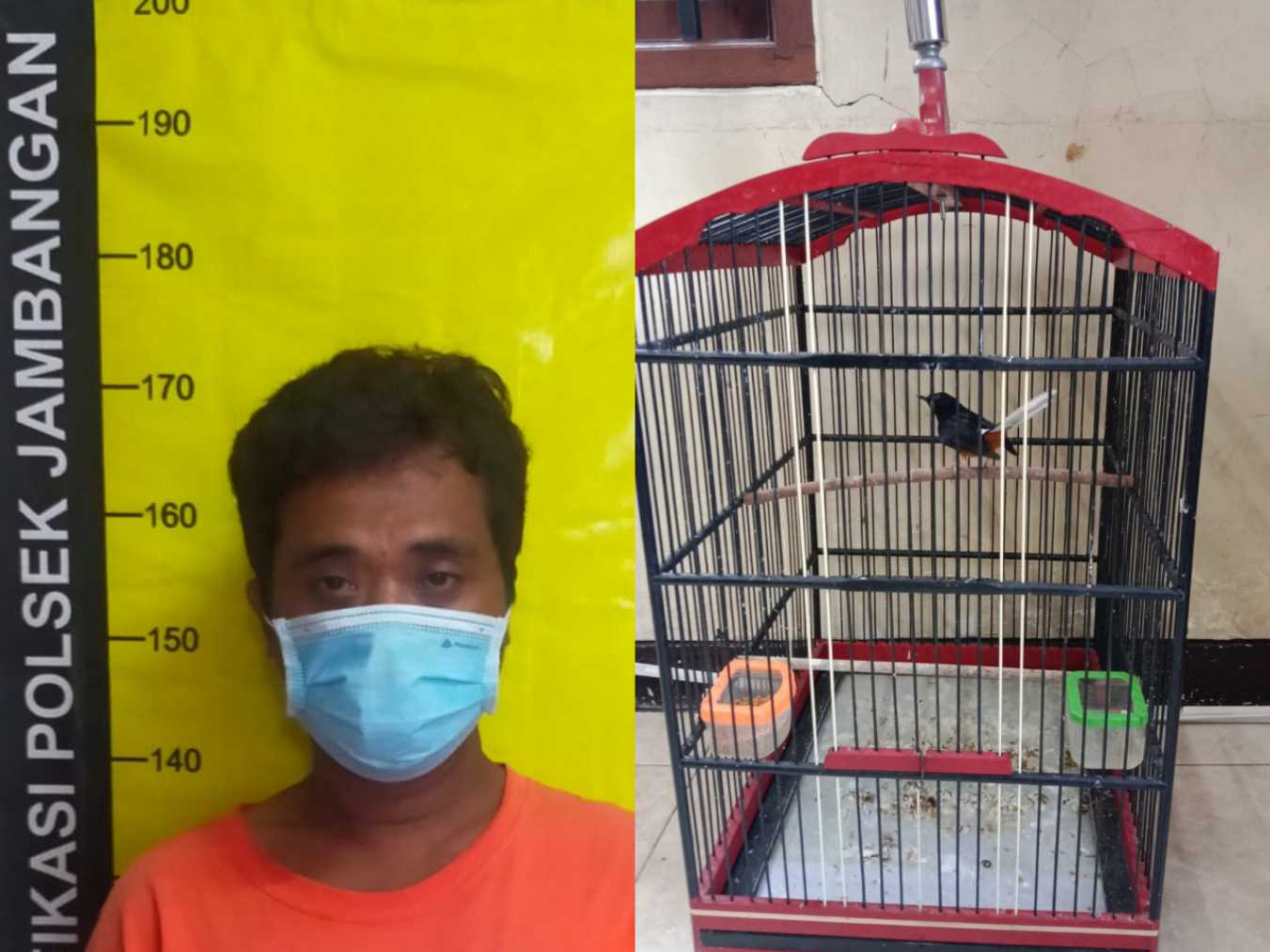 Pelaku pencuri burung dan barang bukti 
